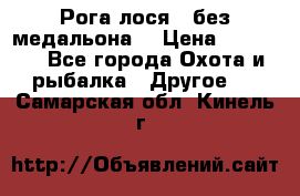 Рога лося , без медальона. › Цена ­ 15 000 - Все города Охота и рыбалка » Другое   . Самарская обл.,Кинель г.